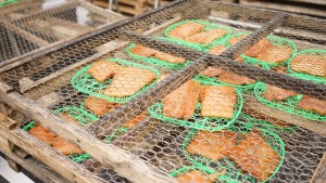 沼津魚市場の干物