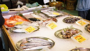 沼津魚市場の魚屋