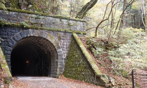 旧天城トンネルの入り口