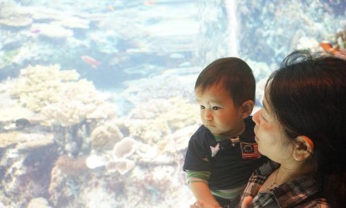 美ら海水族館