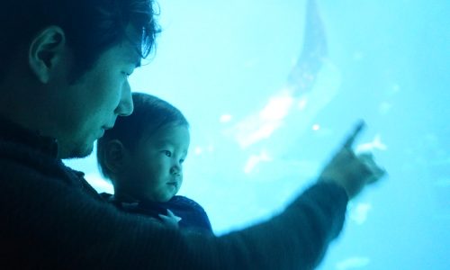 美ら海水族館