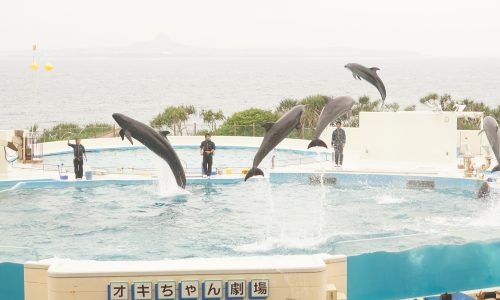 美ら海水族館