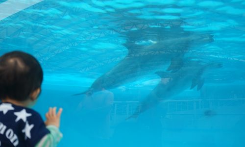 美ら海水族館