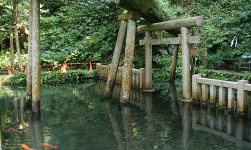 鹿島神宮の御手洗池