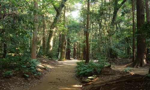 鹿島神宮の要石への道